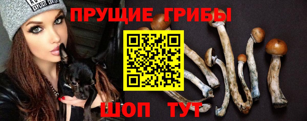 Кушва  Галлюциногенные грибы Cubensis  Вход с VPN 